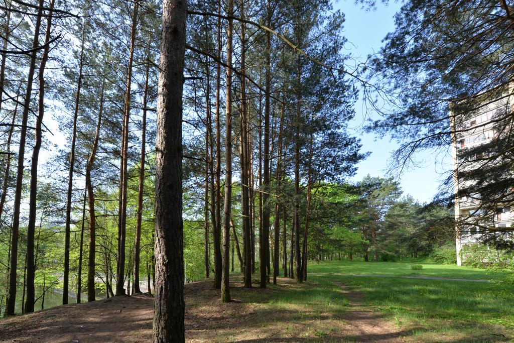 Apartamentai Prie Alkos Druskininkai Extérieur photo